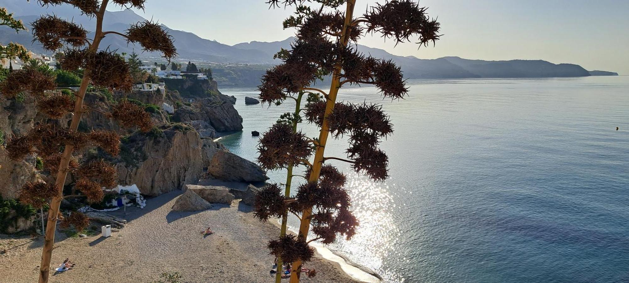 Torresol Sea View Lägenhet Nerja Exteriör bild